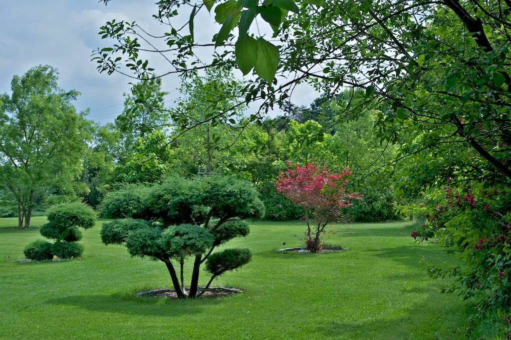 2 - botanicus-orientalni-zahrada-359.jpg