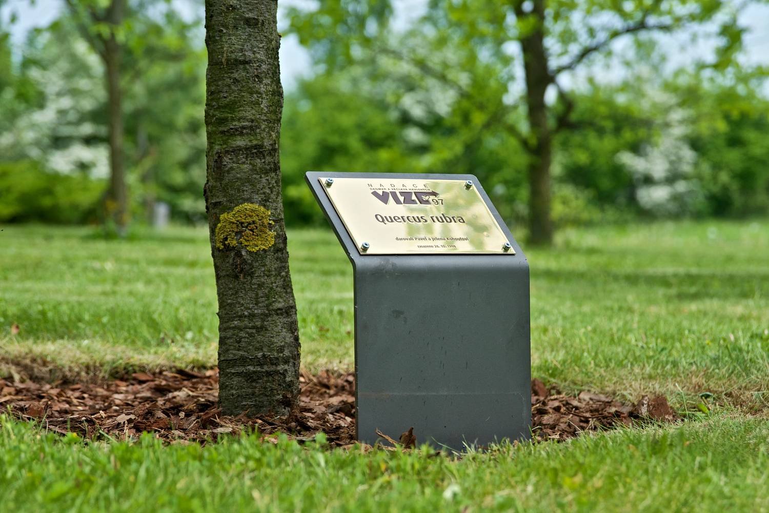 1 - arboretum-dagmar-a-vaclava-havlovych-968.jpg