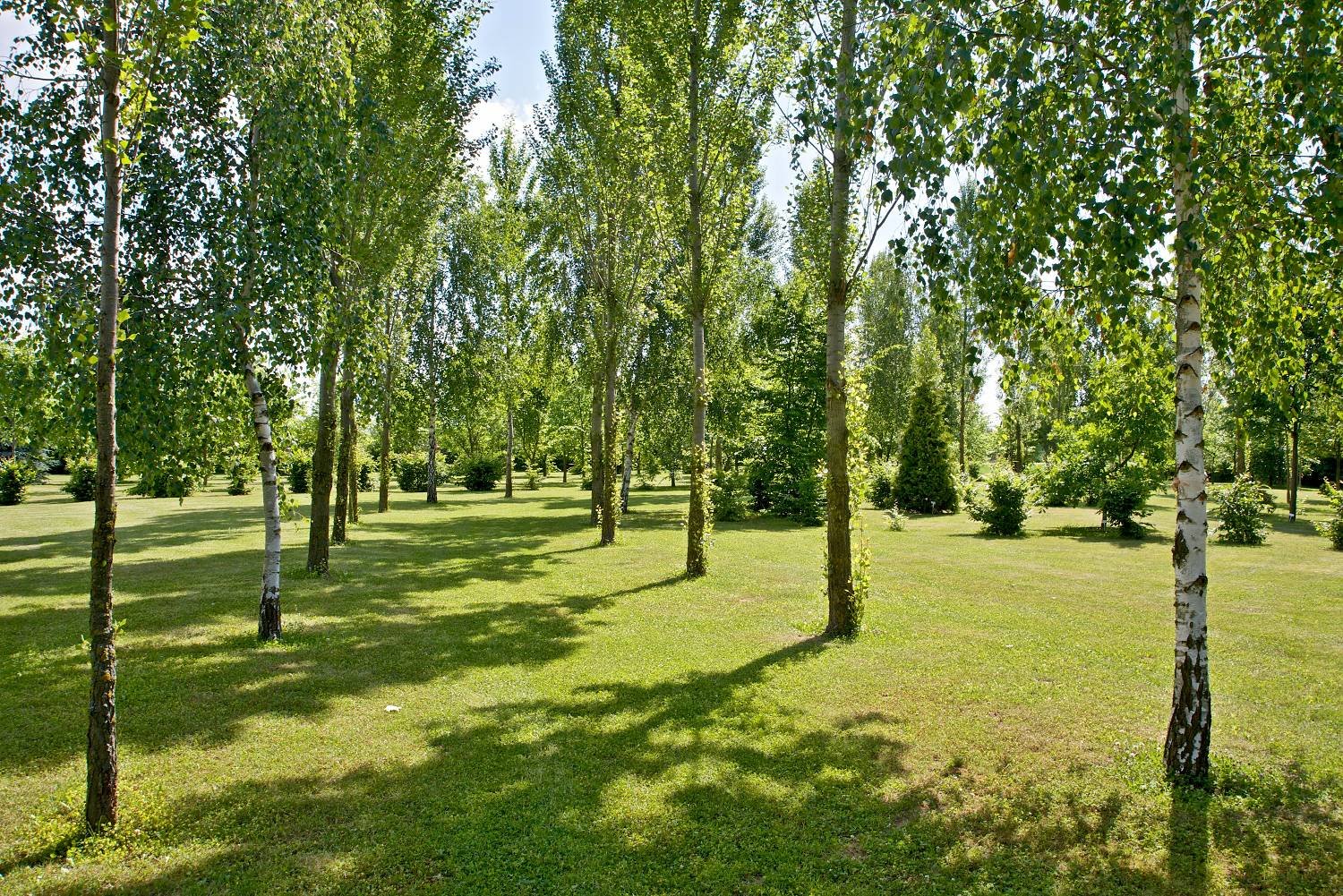 3 - arboretum-dagmar-a-vaclava-havlovych-970.jpg
