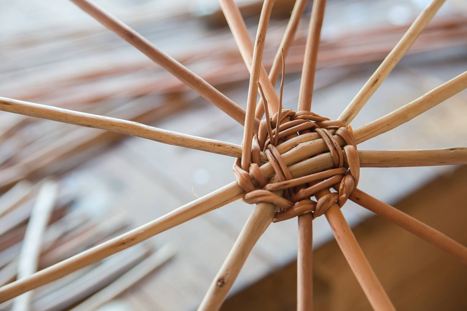 1 - kosikarska-dilna-1286.jpg