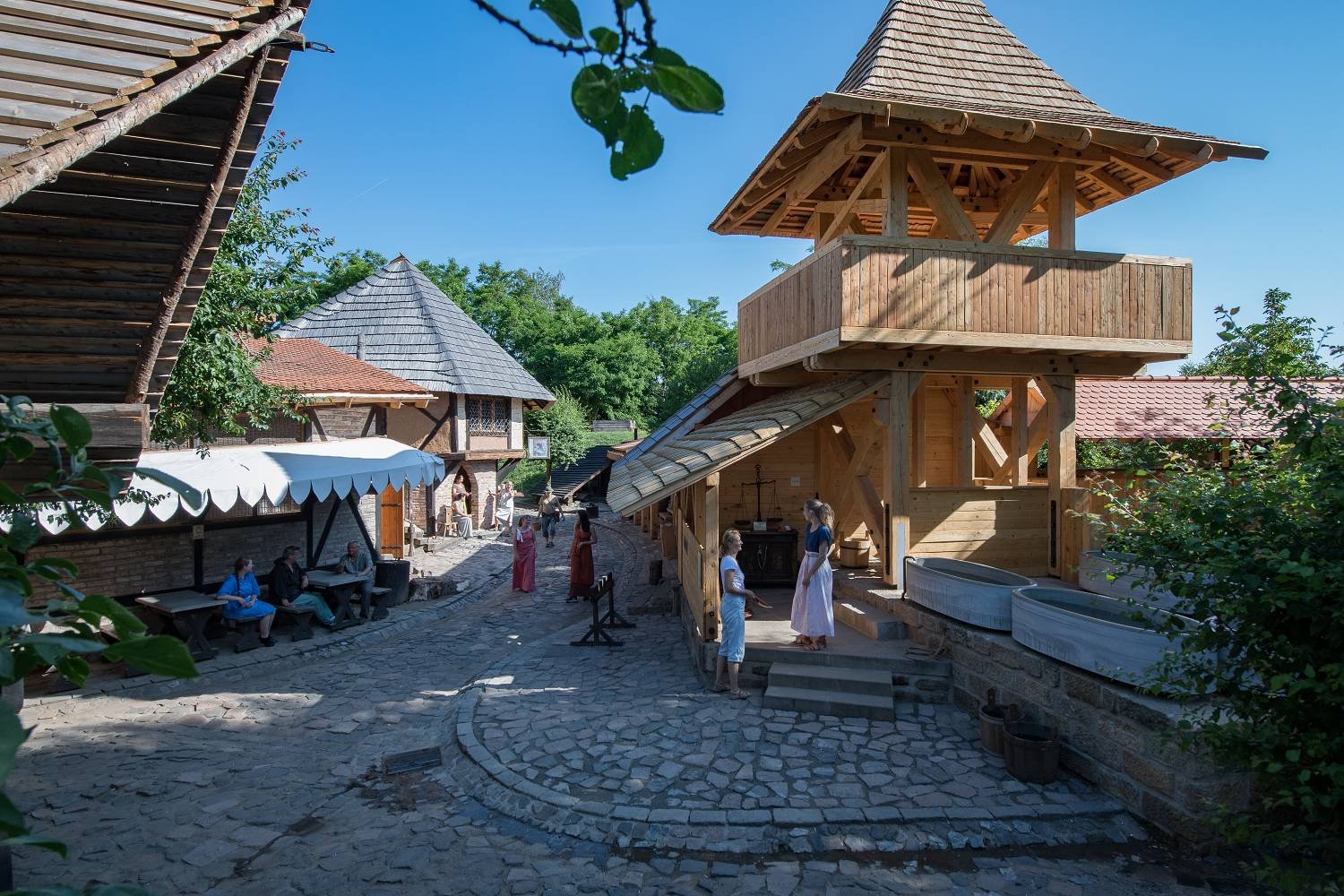 1 - ryzoviste-zlata-1293.jpg