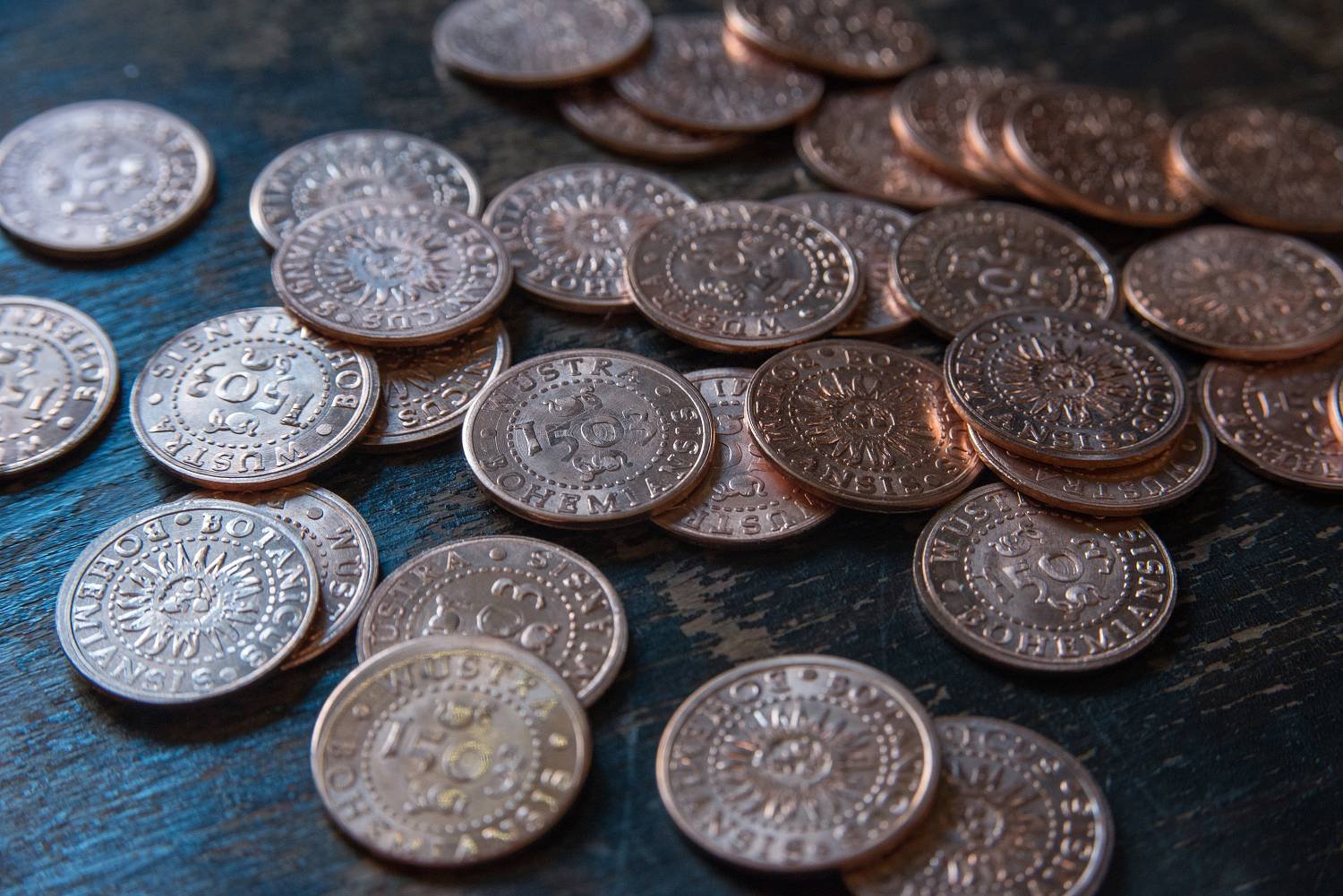 1 - mincovna-1313.jpg